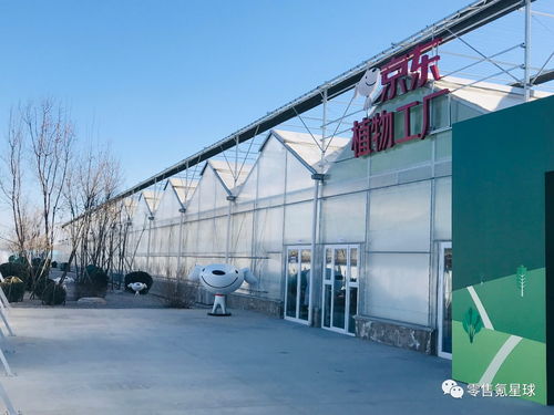 植物工厂走进便利店 7-11与京东如何用“宜春健康”重塑餐桌未来？